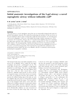 Initial anatomic investigations of the I