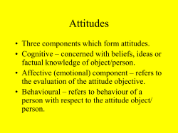 Attitudes - Intranet