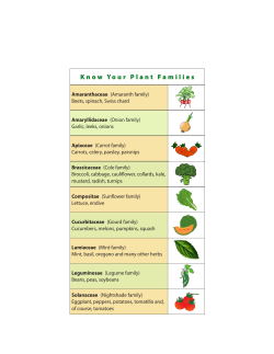 Know Your Plant Families - Weavers Way Co-op