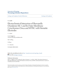 Electrochemical Interaction of Shewanella Oneidensis Mr