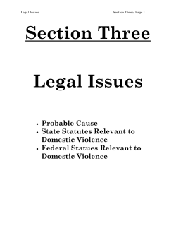 Domestic Violence Interdiction