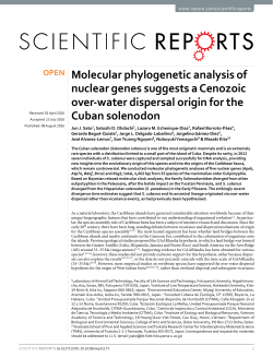 Molecular phylogenetic analysis of nuclear genes suggests a