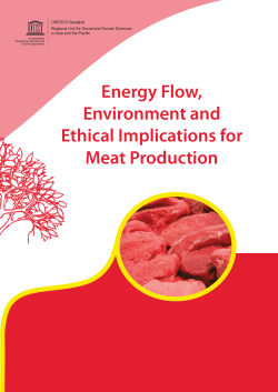 Energy flow, environment and ethical implications for meat production