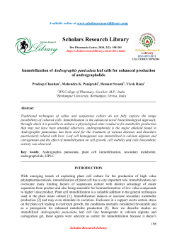 Immobilization of Andrographis paniculata leaf cells for enhanced