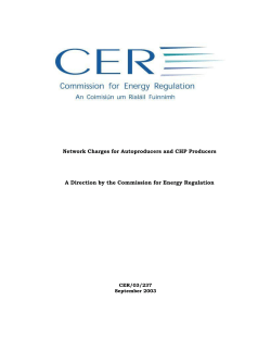 Network Charges for Autoproducers and CHP Producers A Direction