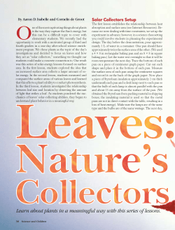Leaves: Nature`s Solar Collectors