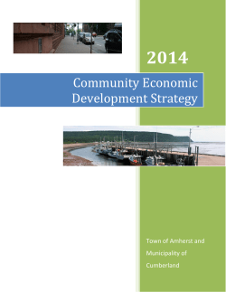 Community Economic Development Strategy