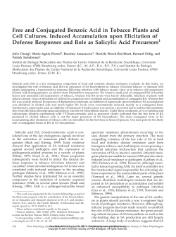 Free and Conjugated Benzoic Acid in Tobacco