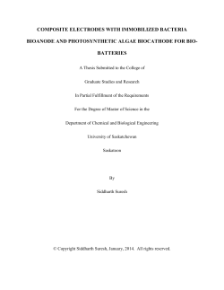 composite electrodes with immobilized bacteria bioanode and