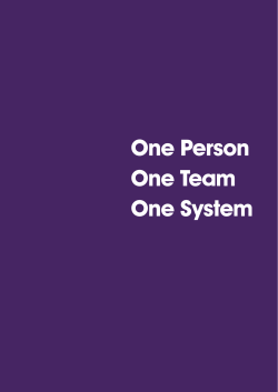 One Person One Team One System