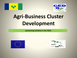 SERVICE CONTRACT: CED/SFA 2004 BG: AGBIP Agri