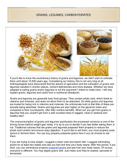 grains, legumes, carbohydrates