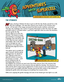 The Stomach - Sota Instruments