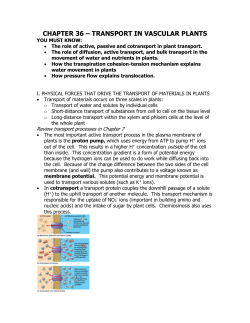 chapter 36 – transport in vascular plants