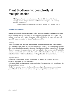 Review Paper_Descrip..