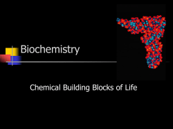 Carbon and the Molecular Diversity of Life