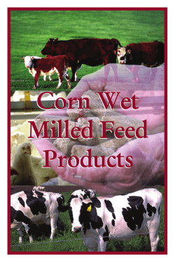 Corn Wet Milled Feed Products Corn Wet Milled Feed Products