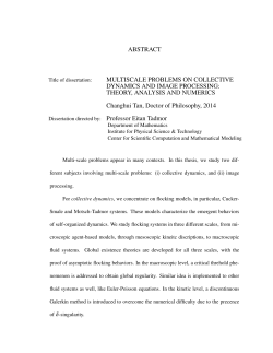 ABSTRACT MULTISCALE PROBLEMS ON COLLECTIVE