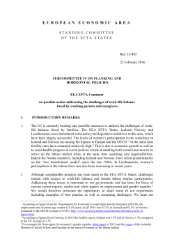 EEA EFTA Comment on work
