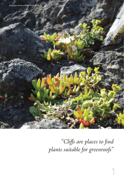 Potential nz plants for extensive green roofs