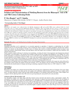 Isolation and Characterization of Nitrifying Bacteria from the