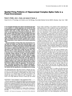 Spatial Firing Patterns of Hippocampal Complex