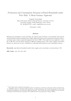 Production and Consumption Decisions of Rural Households under