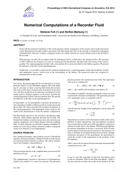 Numerical Computations of a Recorder Fluid