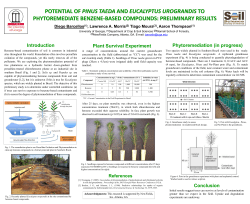Plant Survival Experiment Introduction Conclusion Phytoremediation