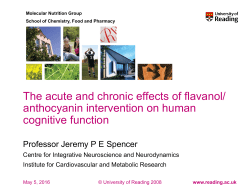 The acute and chronic effects of flavanol/ anthocyanin