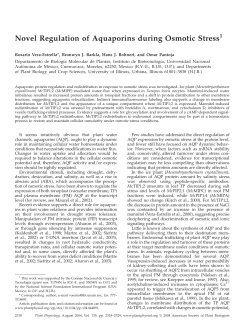 Novel Regulation of Aquaporins during Osmotic Stress