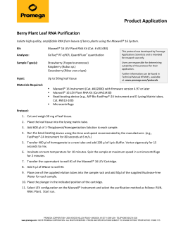 Berry Plant Leaf RNA Purification--Maxwell Application