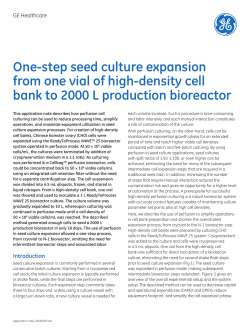 One-step seed culture expansion from one vial of high