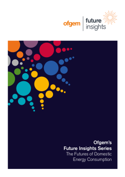 Ofgem`s Future Insights Series