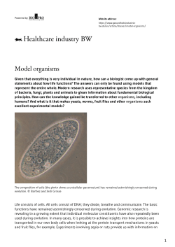 Model organisms - Gesundheitsindustrie BW