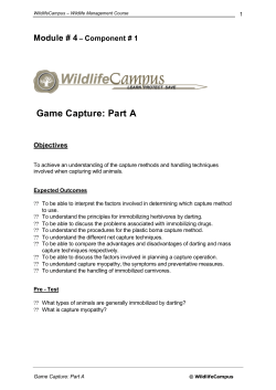 Game Capture: Part A