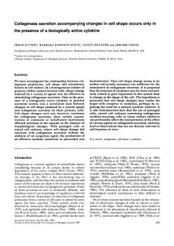 Collagenase secretion accompanying changes in cell shape occurs
