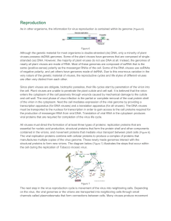 Since plant viruses are obligate, biotrophic parasites, their life cycles