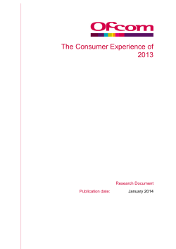 Consumer Experience Research Report 2013