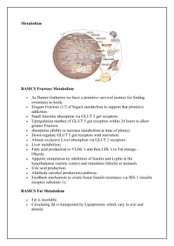 Fructose &ndash; Uric Acid