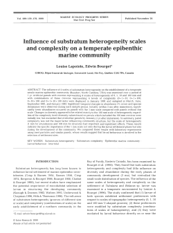 Influence of substratum heterogeneity scales and complexity on a