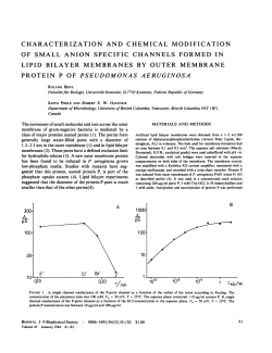 characterization and chemical modification of small anion specific