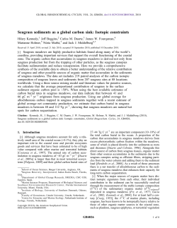Seagrass sediments as a global carbon sink