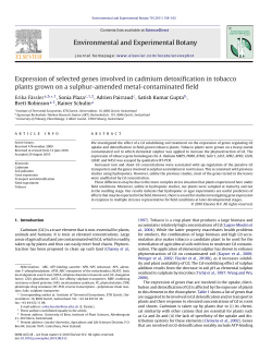 Expression of selected genes involved in cadmium