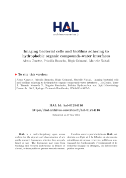 Imaging bacterial cells and biofilms adhering to hydrophobic