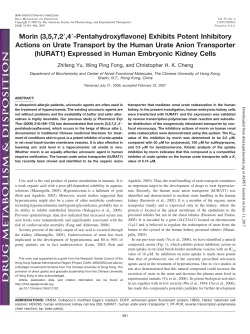 Morin (3,5,7,2 ,4 -Pentahydroxyflavone) Exhibits Potent Inhibitory