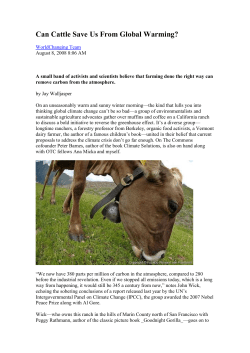Can Cattle Save Us From Global Warming? WorldChanging Team