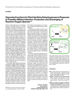 Opposing Functions for Plant Xanthine Dehydrogenase
