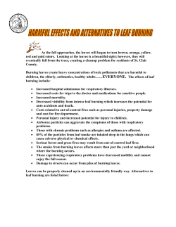 Effects and Alternatives to Leaf Burning