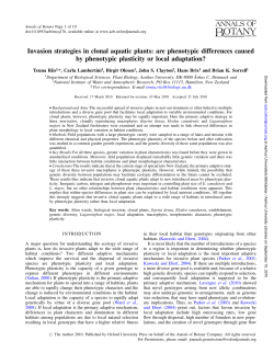Invasion strategies in clonal aquatic plants: are phenotypic